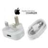 iPhone orginal charger