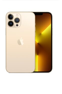 ip 13 pro max gold